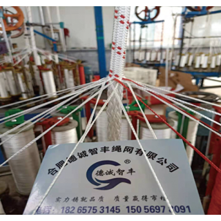 合肥德诚智丰绳网有限公司