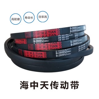 海中天传动带
