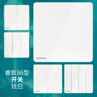 中外合资西门子（正宗）睿致白色五孔插座