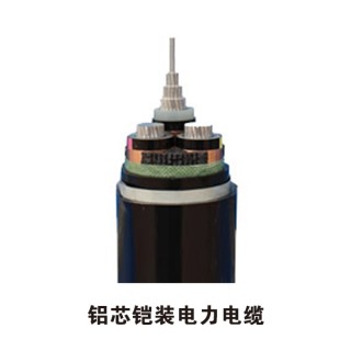 安徽蓝宇线缆有限公司