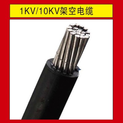 天正泰1KV/10KV架空电缆