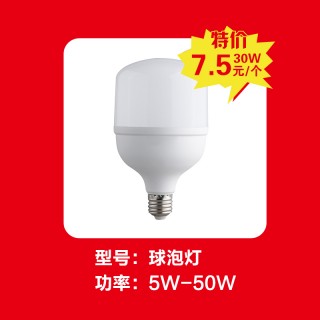 球灯泡30W