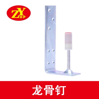 侦伊龙骨钉
