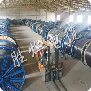 胜烨电缆有限公司