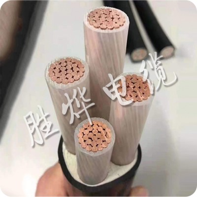 胜烨电缆有限公司
