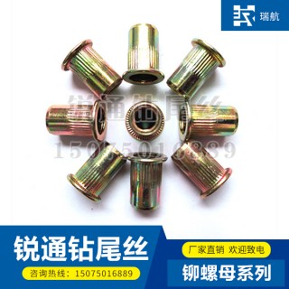 锐通铆螺母