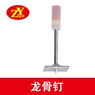 侦伊龙骨钉