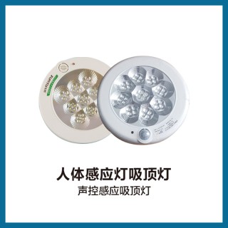 人体感应吸顶灯