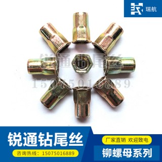 锐通铆螺母